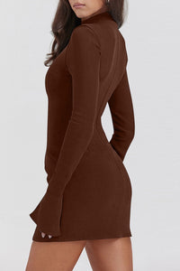 Astoria Mock Neck Long Sleeve Mini Dress