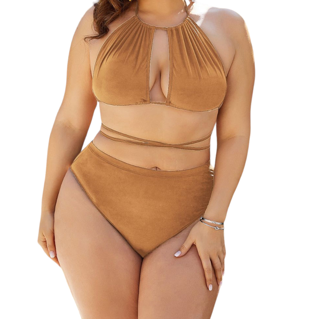 Plus Size Cutout Tied Backless Bikini Set